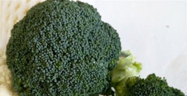 海南同德食品配送有限公司將于四月開始與云南基地合作